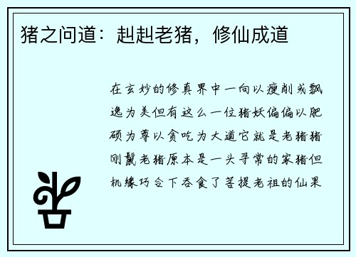 猪之问道：赳赳老猪，修仙成道